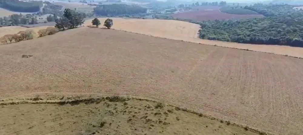 Fazenda, 157 hectares - Foto 2
