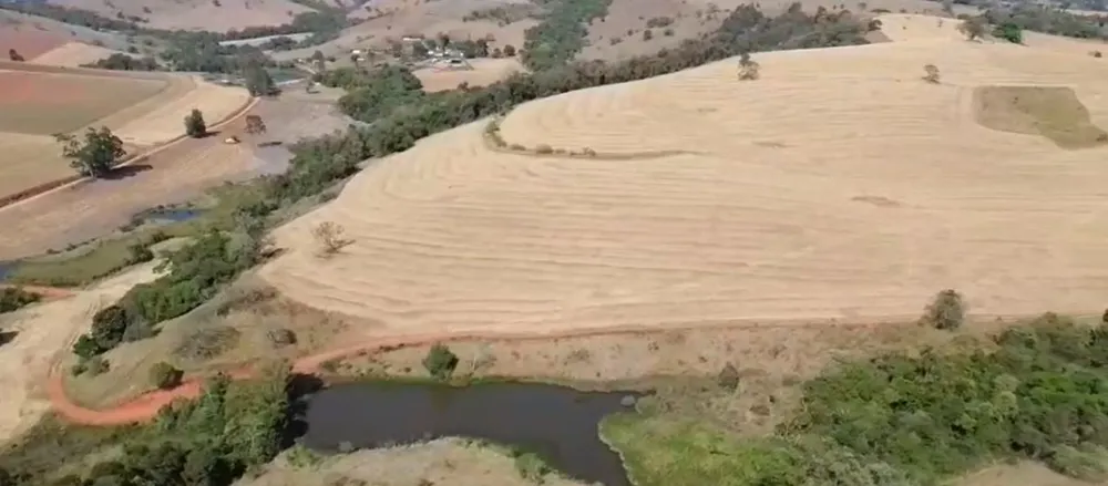 Fazenda, 157 hectares - Foto 8