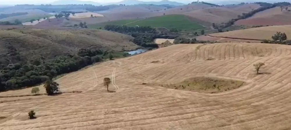 Fazenda, 157 hectares - Foto 8