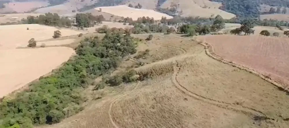 Fazenda, 157 hectares - Foto 16