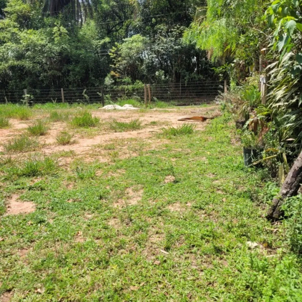 Terreno, 1550 m² - Foto 5