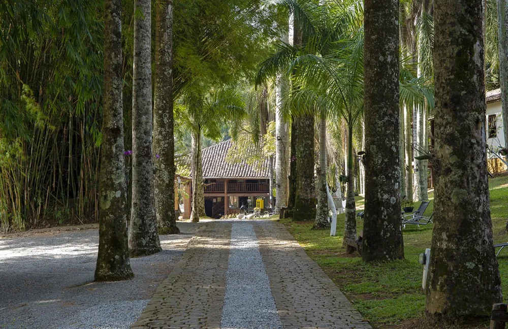 Fazenda, 156 hectares - Foto 1
