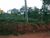 Loja-Salão, 360 m² - Foto 2
