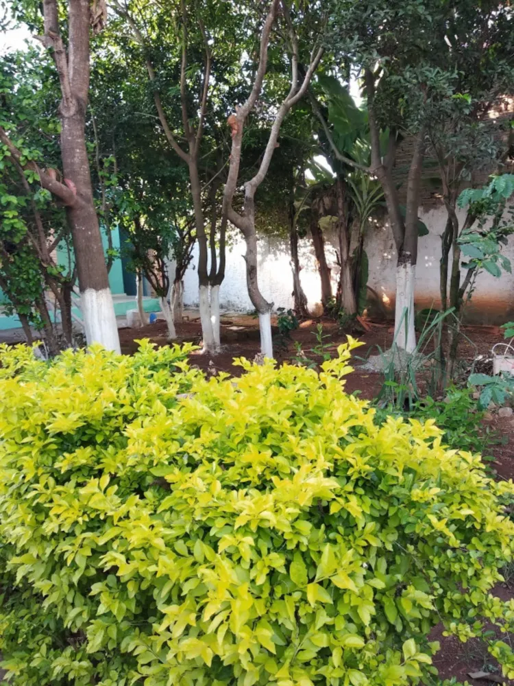 Casa, 2 quartos, 360 m² - Foto 5
