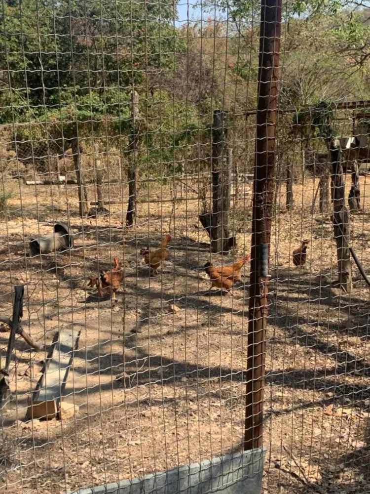 Fazenda, 1 quarto - Foto 5
