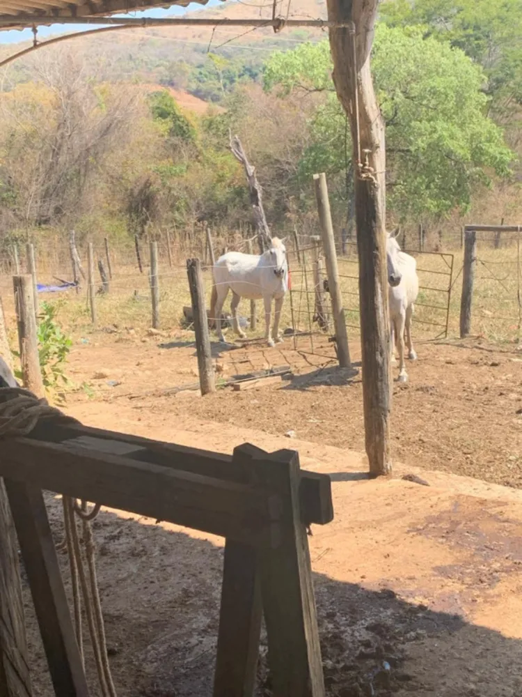 Fazenda, 1 quarto - Foto 10