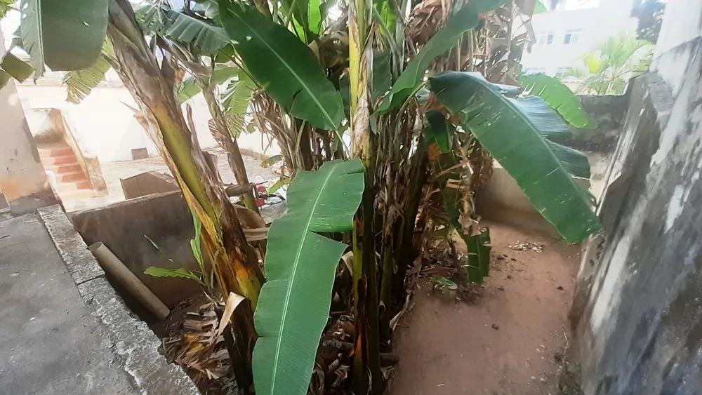 Casa, 3 quartos, 300 m² - Foto 3