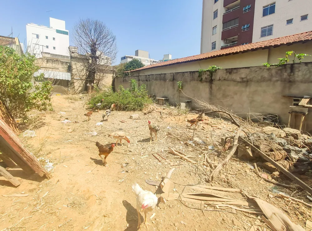 Terreno, 1158 m² - Foto 13