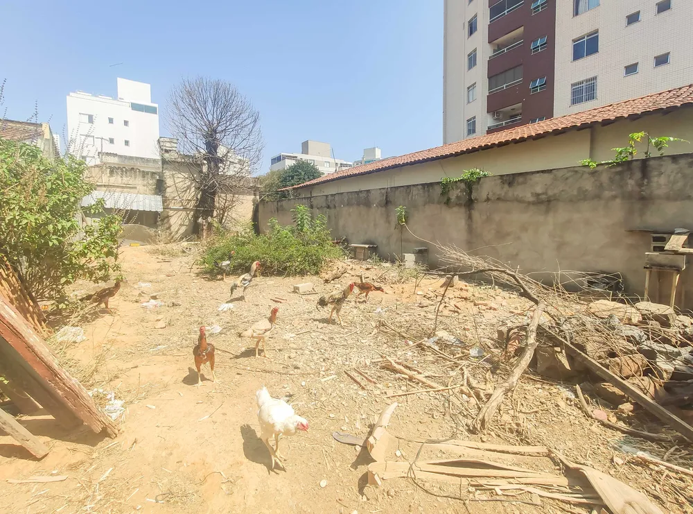 Terreno, 1158 m² - Foto 12