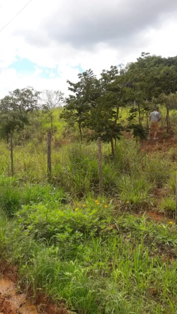 Terreno, 360 m² - Foto 3
