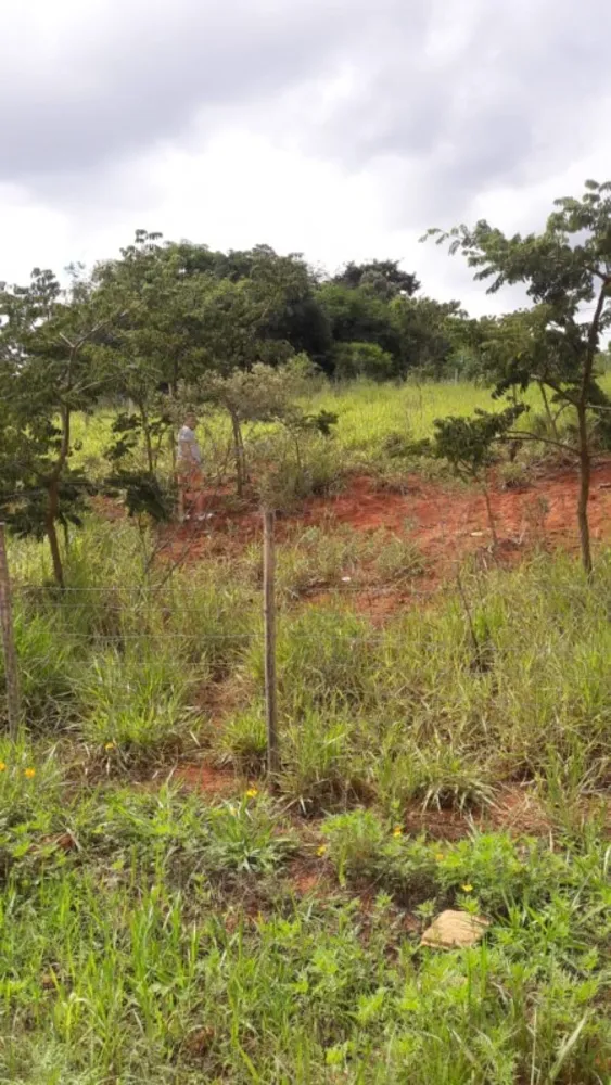Terreno, 360 m² - Foto 6