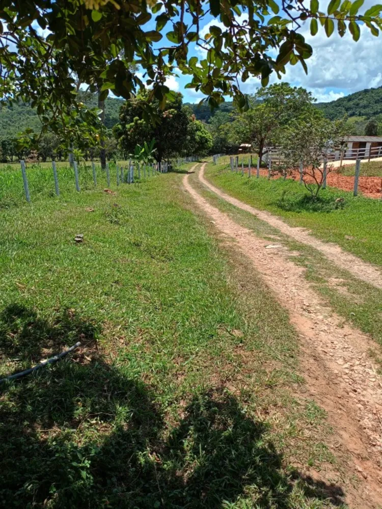 Chácara, 4 quartos - Foto 8