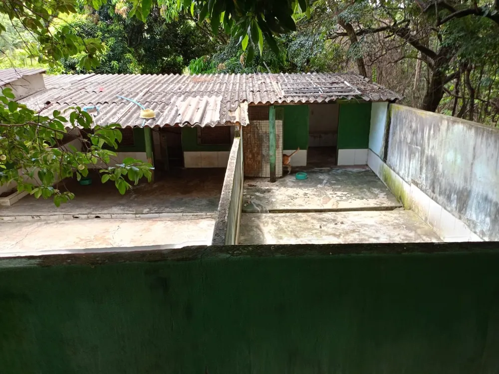 Chácara, 4 quartos - Foto 18