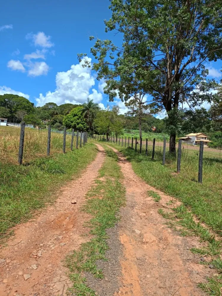 Sítio, 4 quartos, 60000 m² - Foto 9