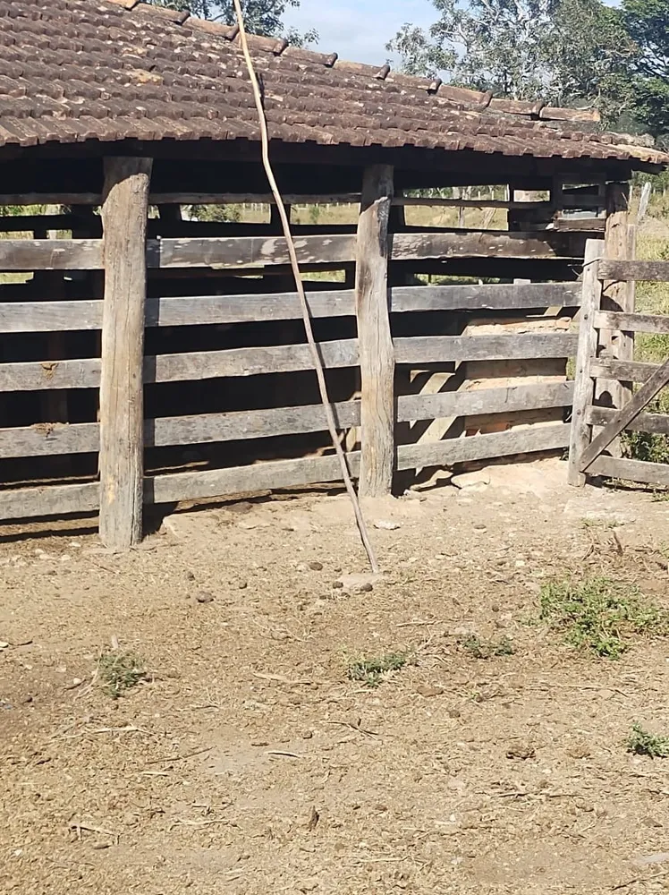 Fazenda, 3 quartos - Foto 19
