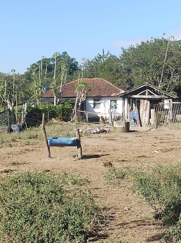 Fazenda, 3 quartos - Foto 5