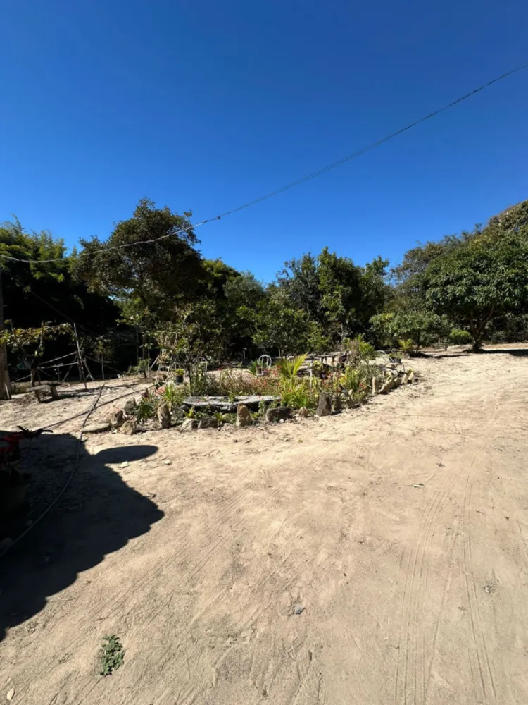 Chácara, 4 quartos, 6000 m² - Foto 2