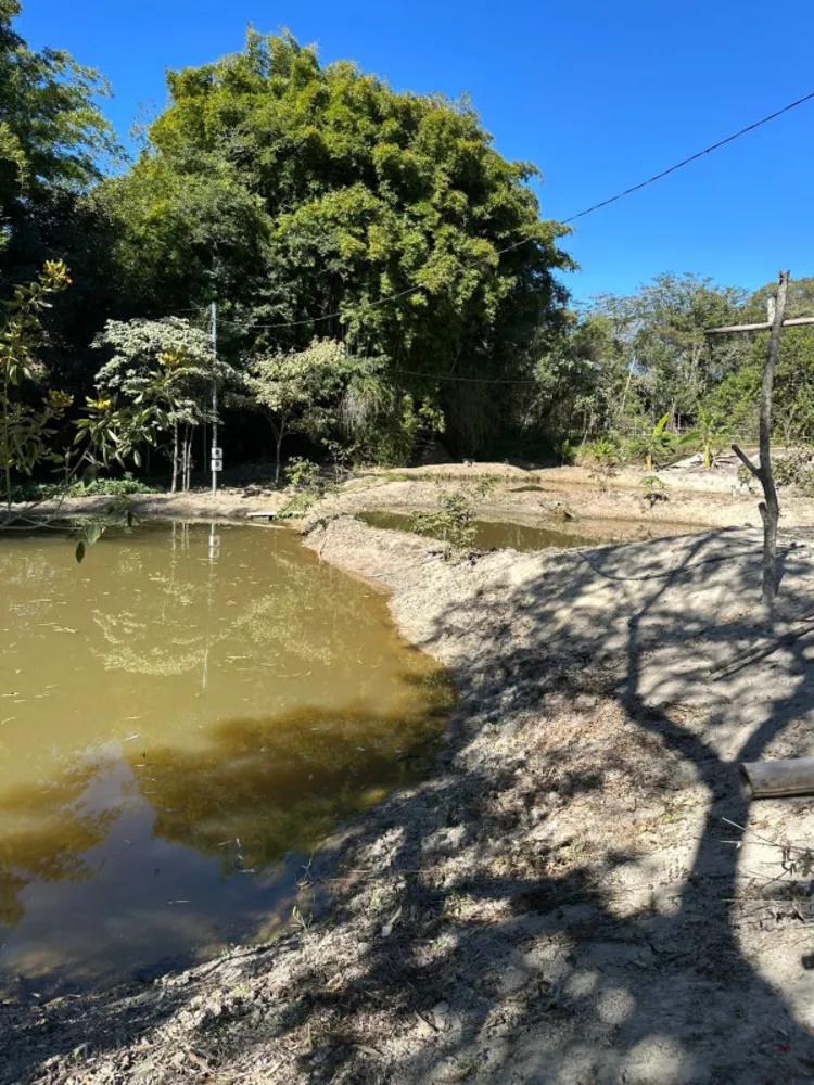 Chácara, 4 quartos, 6000 m² - Foto 9