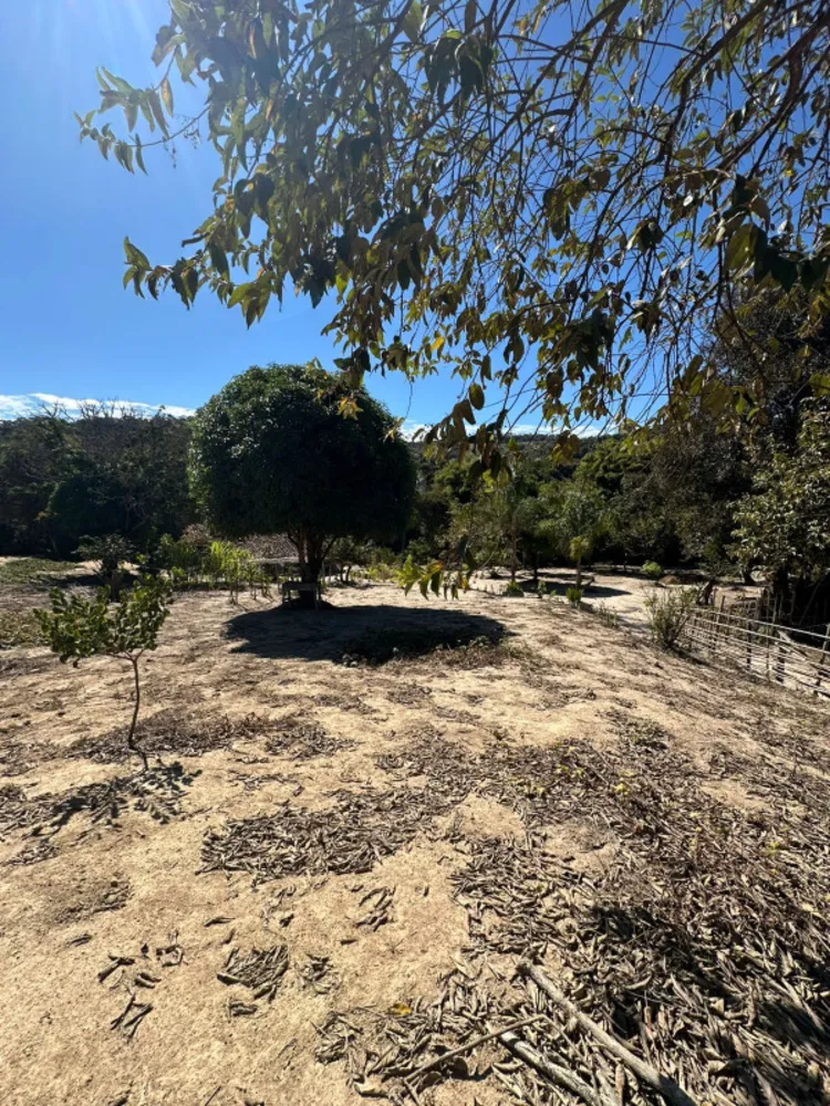 Sítio, 4 quartos, 6000 m² - Foto 9