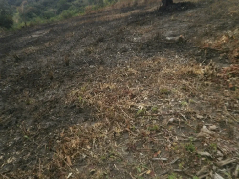 Terreno, 360 m² - Foto 6