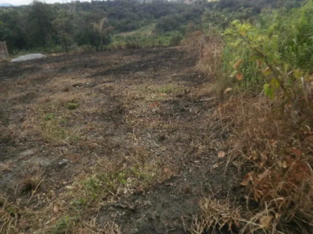 Terreno, 360 m² - Foto 4