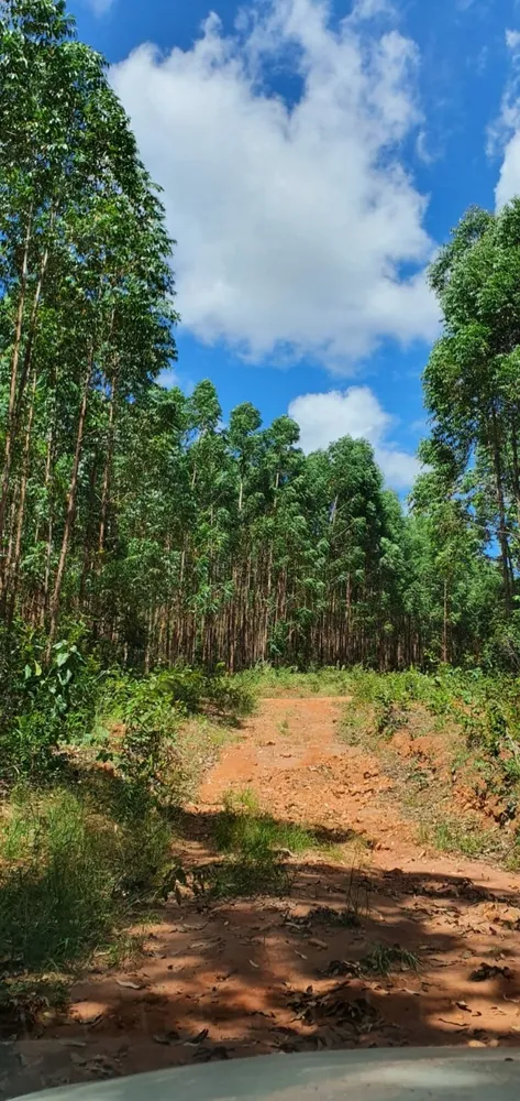 Fazenda, 1 quarto - Foto 4