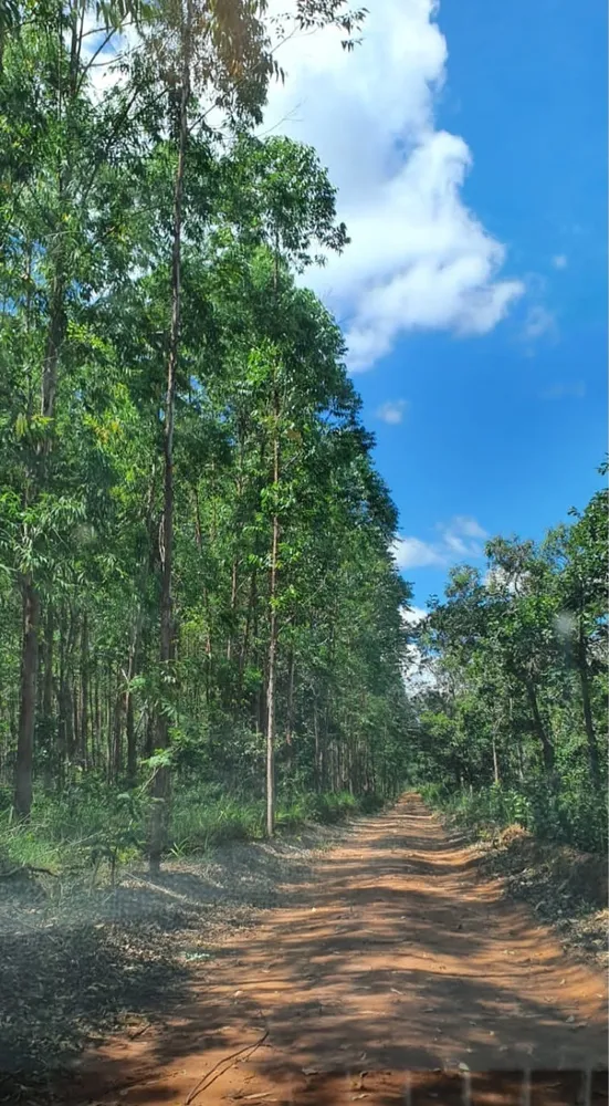 Fazenda, 1 quarto - Foto 5