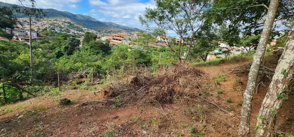 Terreno - Foto 5