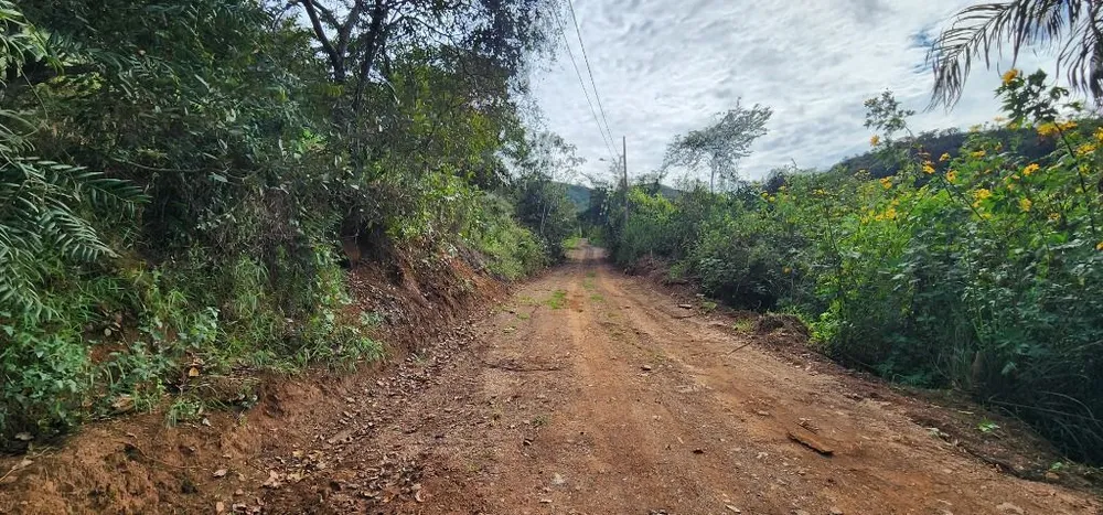 Terreno - Foto 6