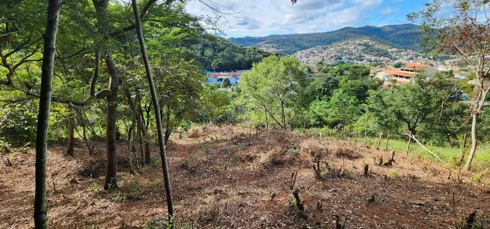 Terreno - Foto 4