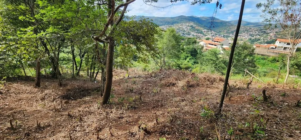 Terreno - Foto 1