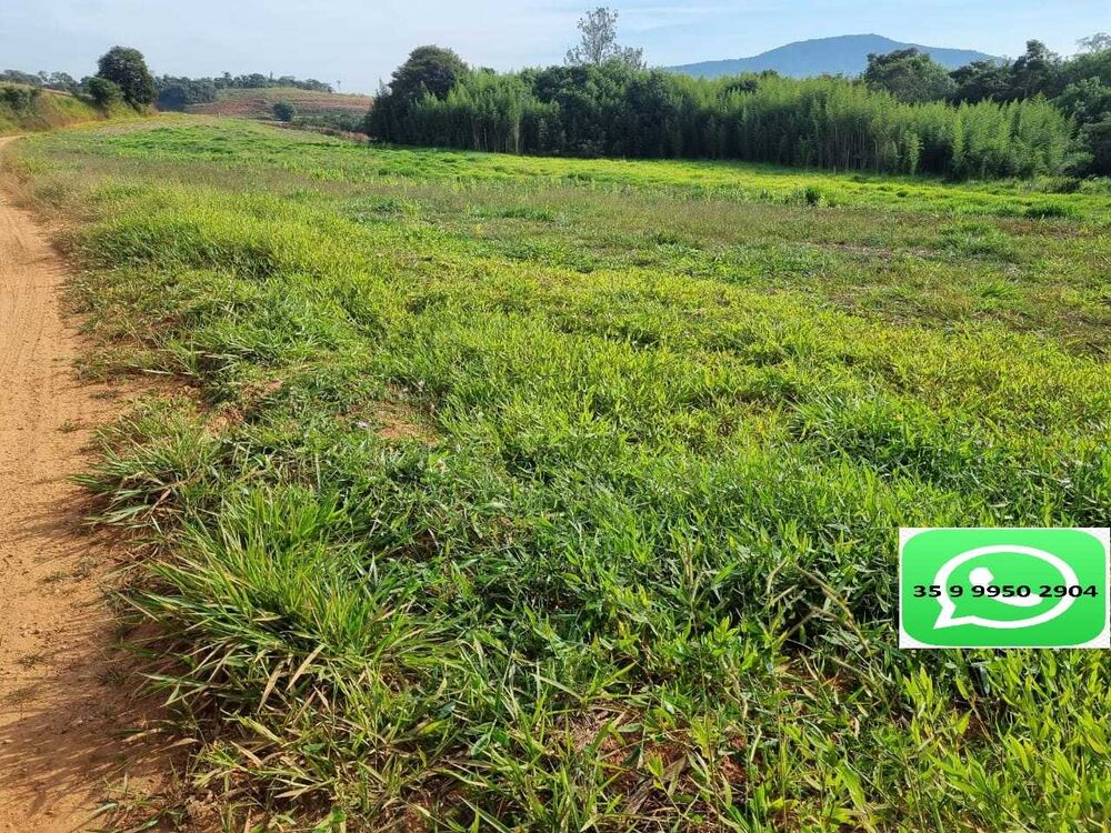 Fazenda à venda com 1 quarto, 1600000m² - Foto 2