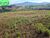 Fazenda, 160 hectares - Foto 1