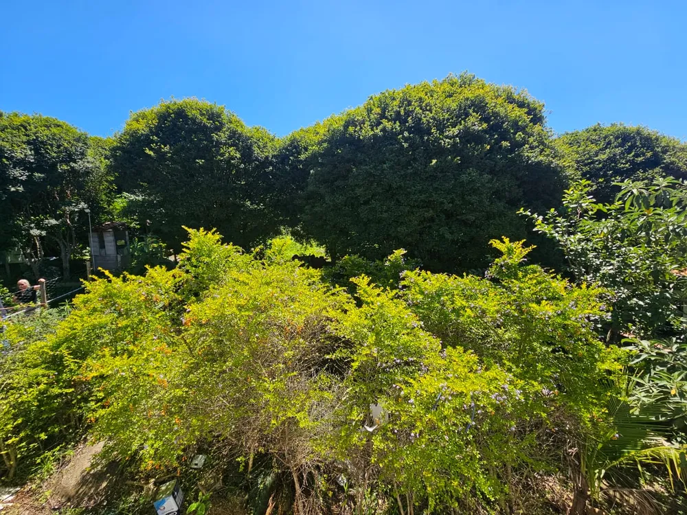 Casa, 3 quartos, 170 m² - Foto 9