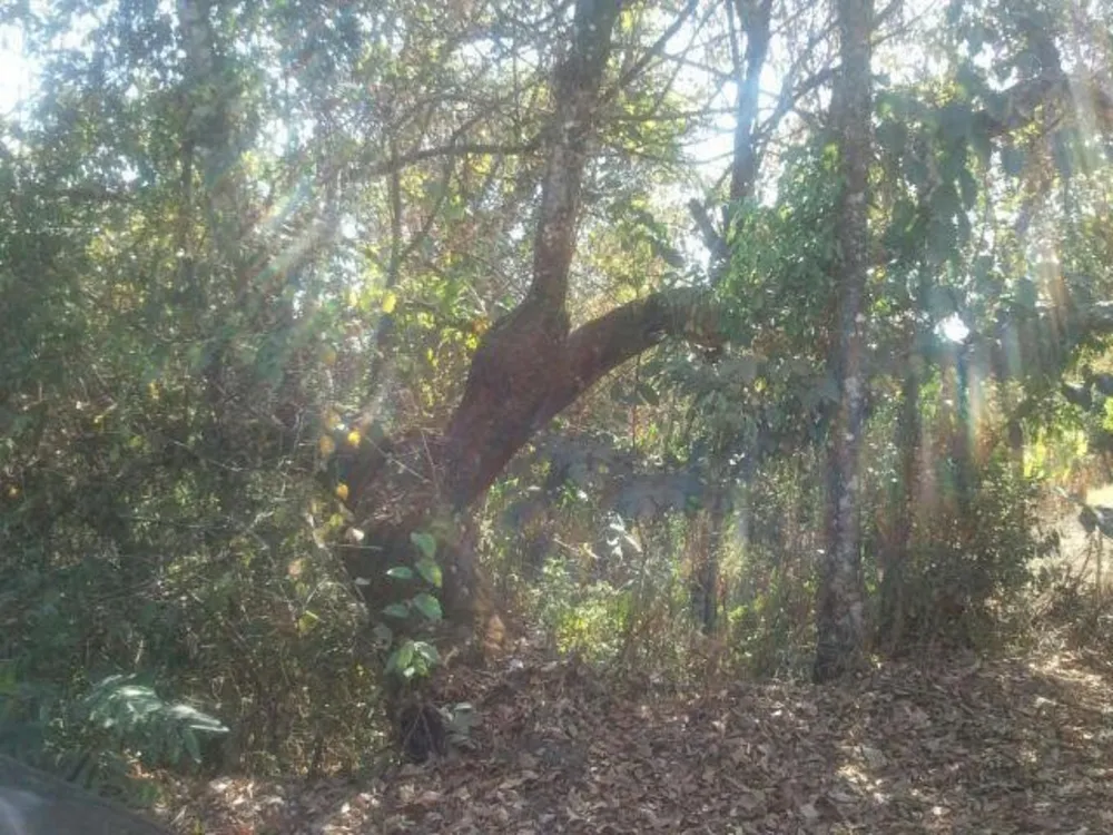 Terreno, 3050 m² - Foto 3