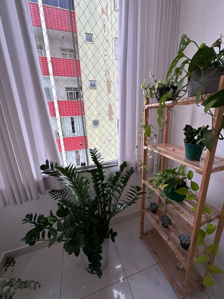 Apartamento à venda com 2 quartos, 60m² - Foto 3
