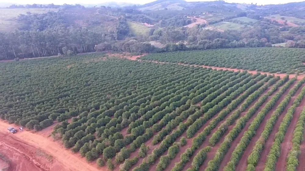 Fazenda, 56 hectares - Foto 7