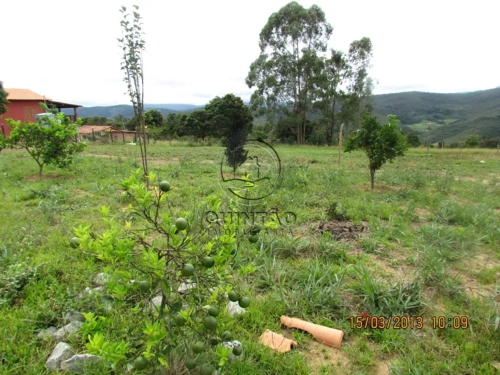 Chácara à venda com 2 quartos, 14000m² - Foto 14