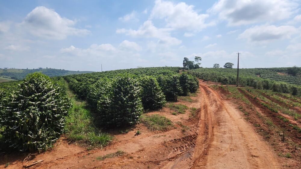 Fazenda à venda com 1 quarto, 254000m² - Foto 6
