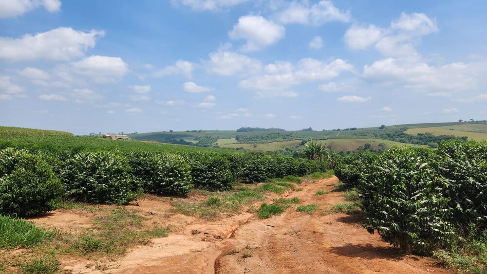 Fazenda à venda com 1 quarto, 254000m² - Foto 8