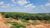 Fazenda, 25 hectares - Foto 9