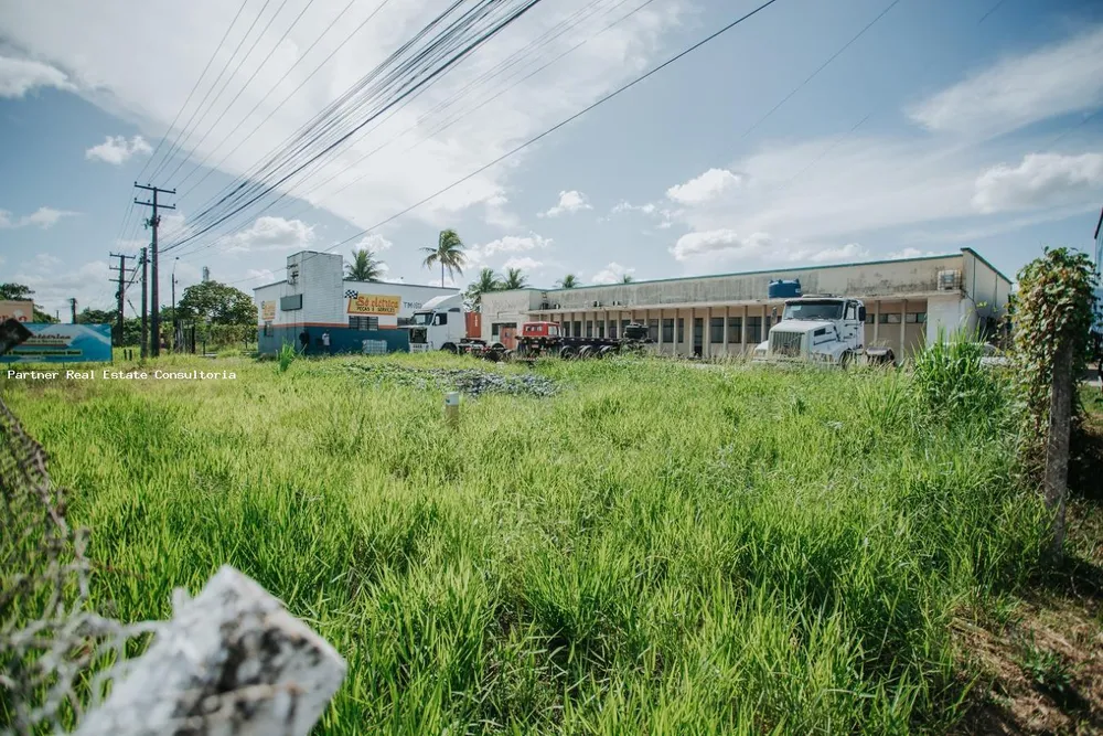 Depósito-Galpão, 31000 m² - Foto 11