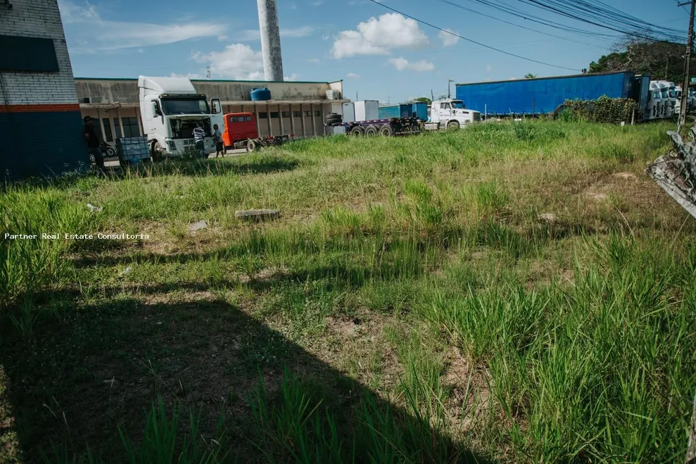 Depósito-Galpão, 31000 m² - Foto 4