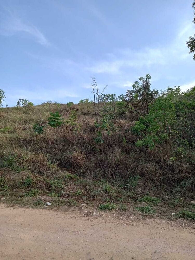Terreno à venda, 1250m² - Foto 3