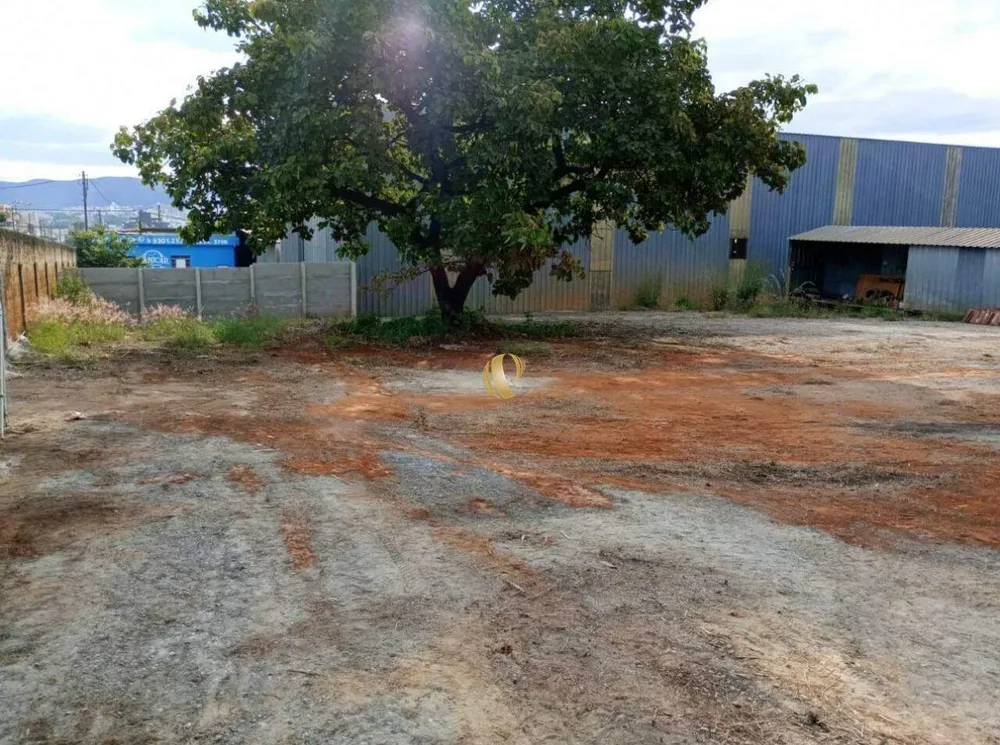Terreno, 1156 m² - Foto 5