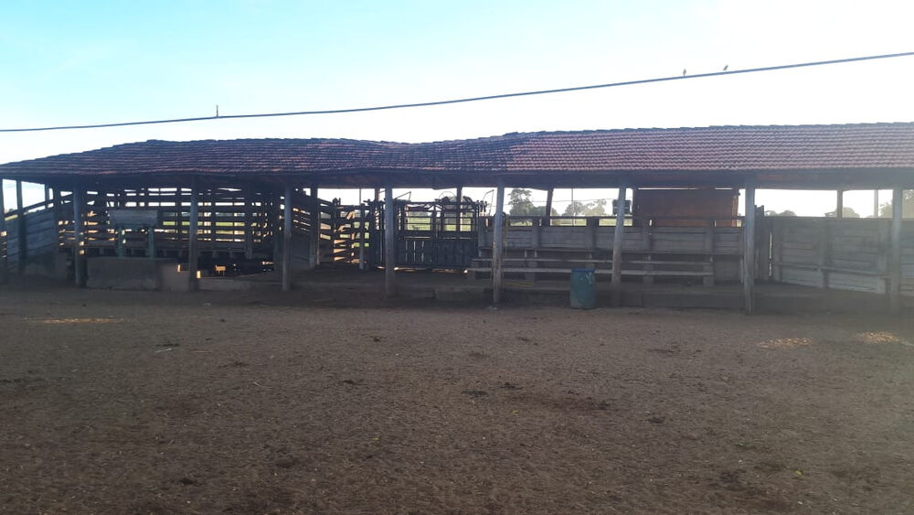 Fazenda à venda com 4 quartos, 21900000m² - Foto 9