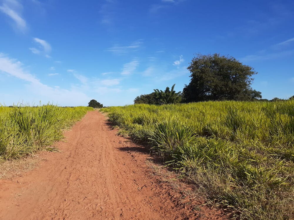 Fazenda à venda com 4 quartos, 21900000m² - Foto 5