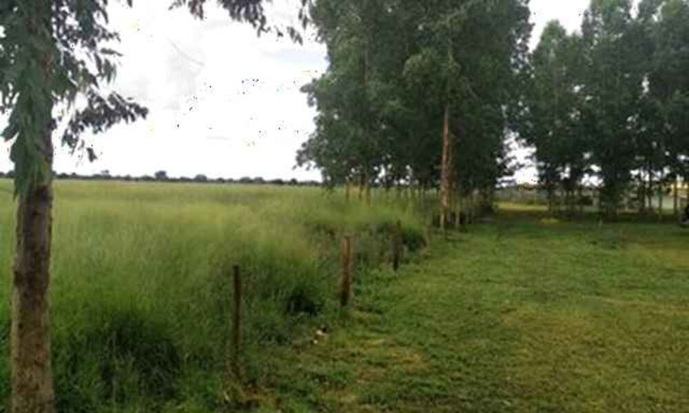 Fazenda à venda com 4 quartos, 21900000m² - Foto 4