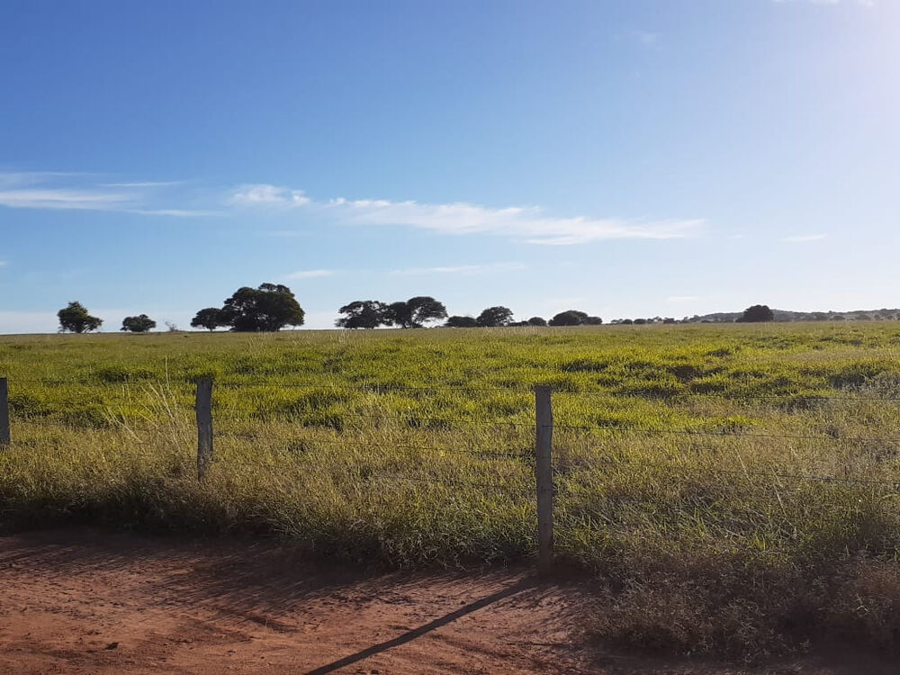 Fazenda à venda com 4 quartos, 21900000m² - Foto 2
