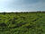 Fazenda, 2190 hectares - Foto 1